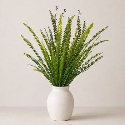 Ebony Spleenwort Leaf Bunch