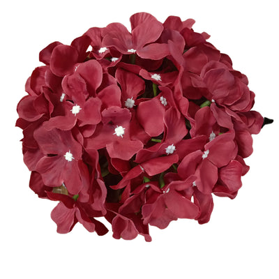 Dark Red Flr Hydrangea 54 Petals (Pack of 50)
