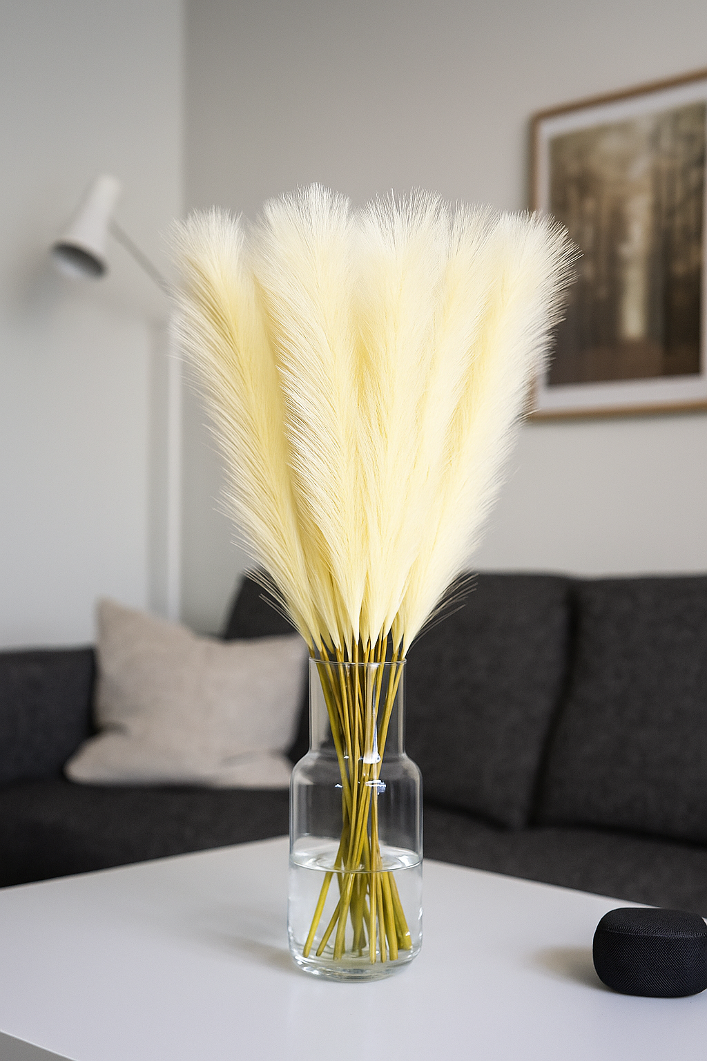 Pampas Grass Single Stick 21" Cream (Pack of 10)
