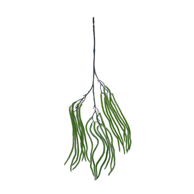 Hanging Fish Palm Leaf Light Green (Pack of 10)