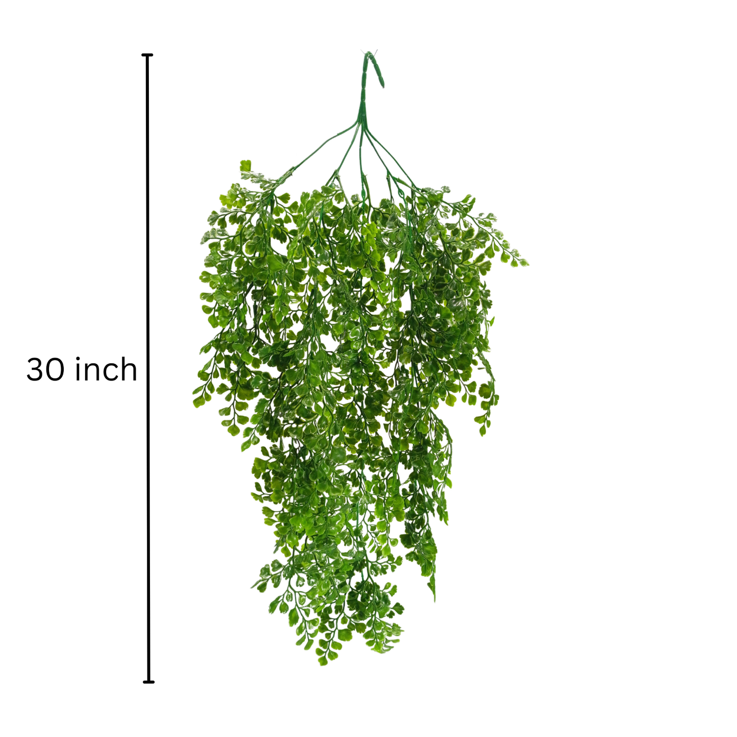 Hanging Capillus D/s Green (Pack of 10)