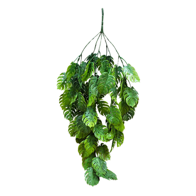 Hanging Monstera Leaf (Pack of 10)