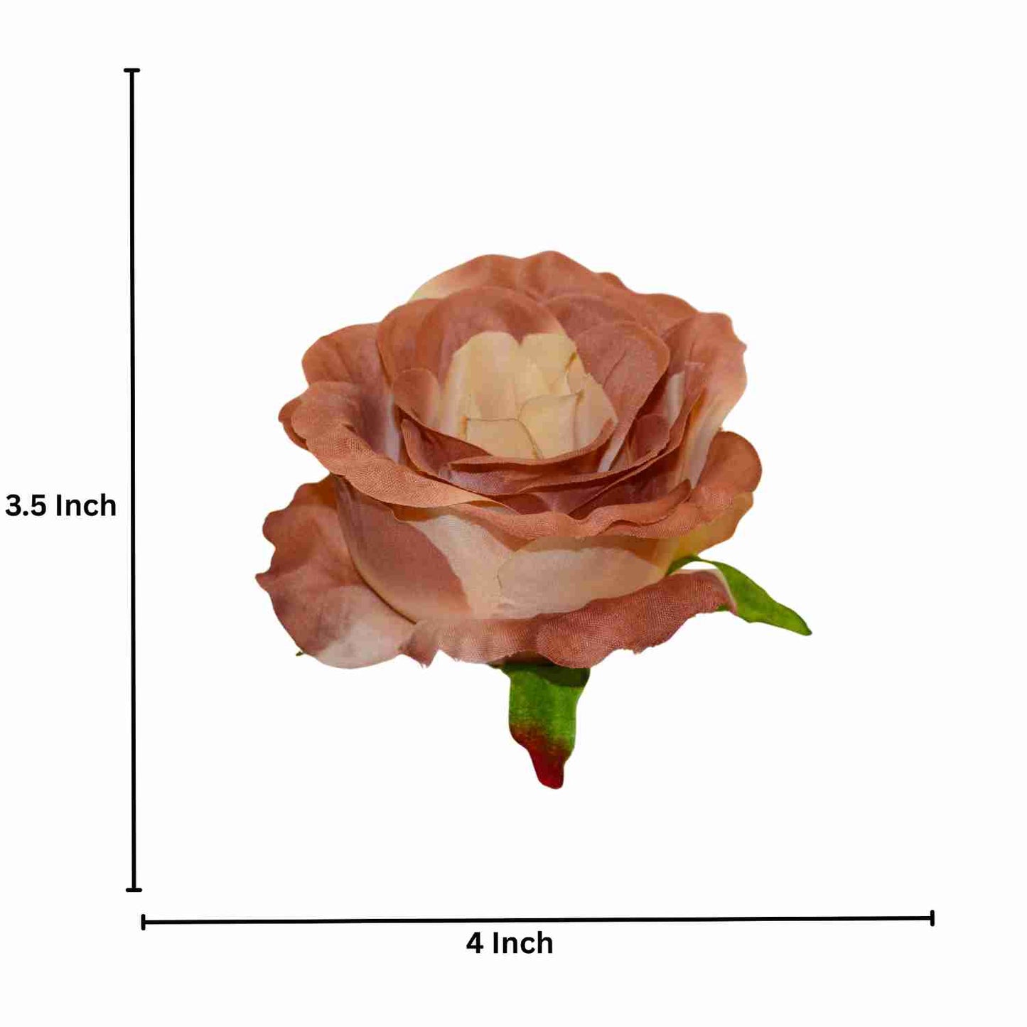 Brown Yellow MR10 Rose (Pack of 90)