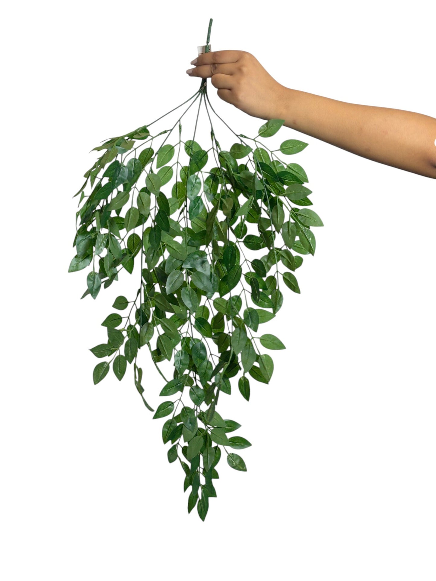 Hanging Natural Leaf (Pack of 10)