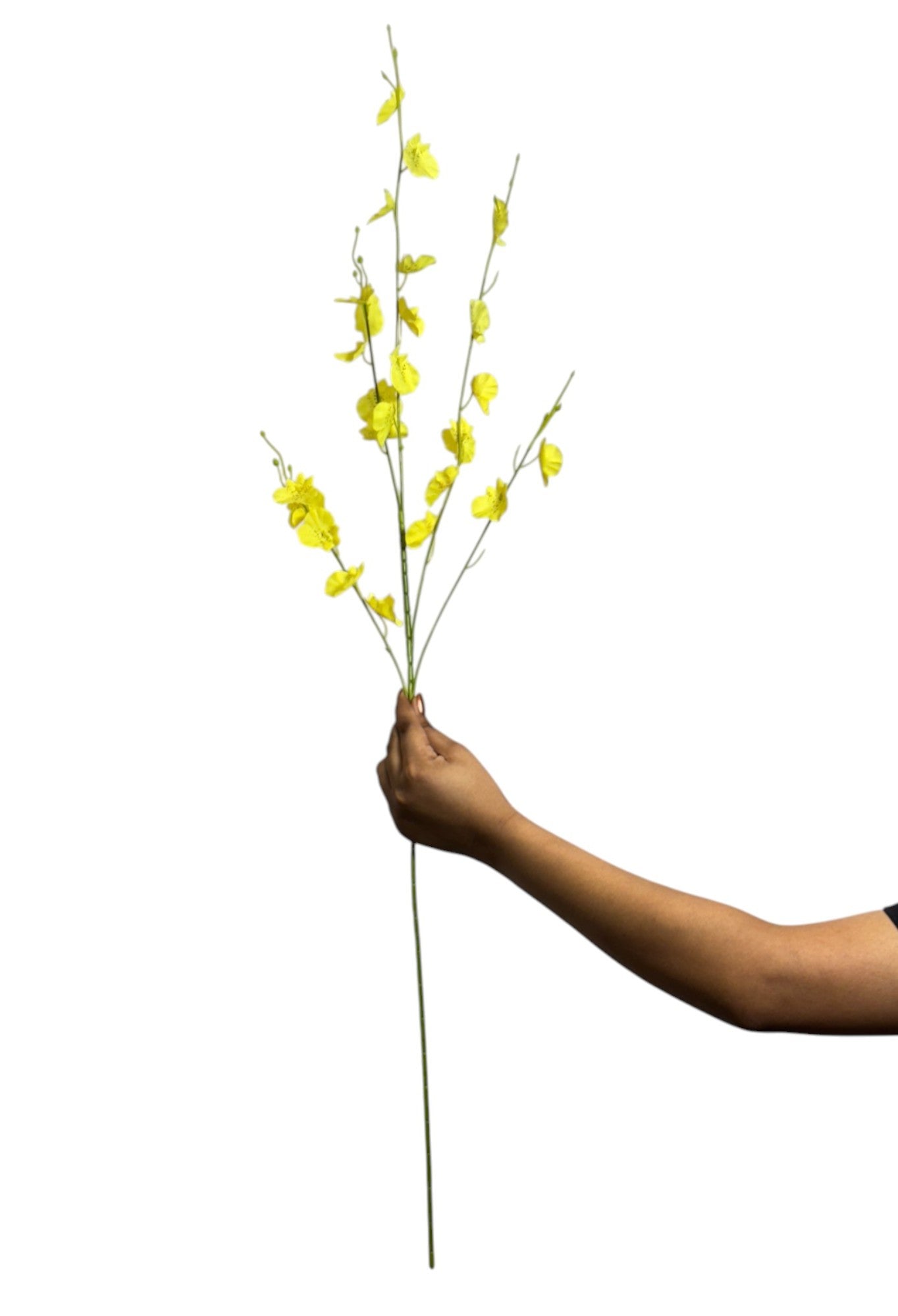 Dragon Stick 38" Yellow (Pack of 10)