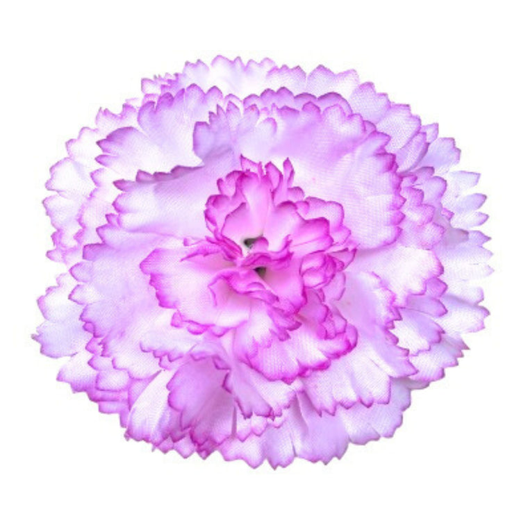 Big Carnation