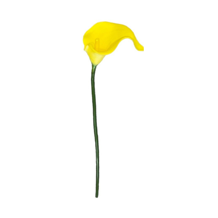 Calla Lilly Small