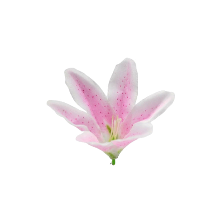 Small Lily