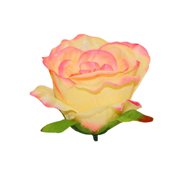 Rose (MR7)