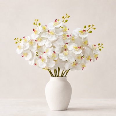 Cymbidium Stick