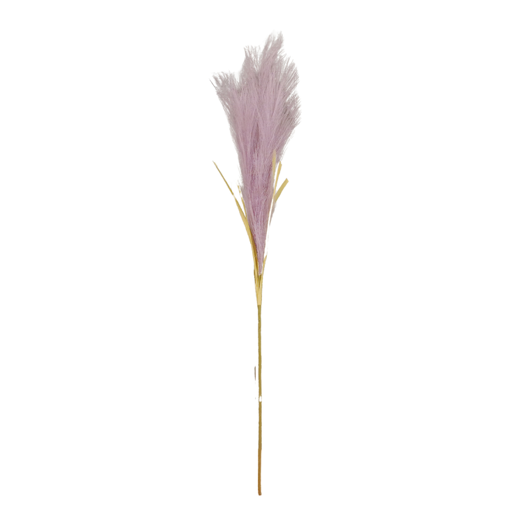 Pampas Grass