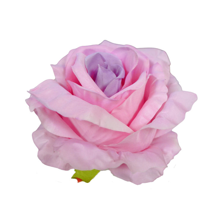 Rose (MR 16)