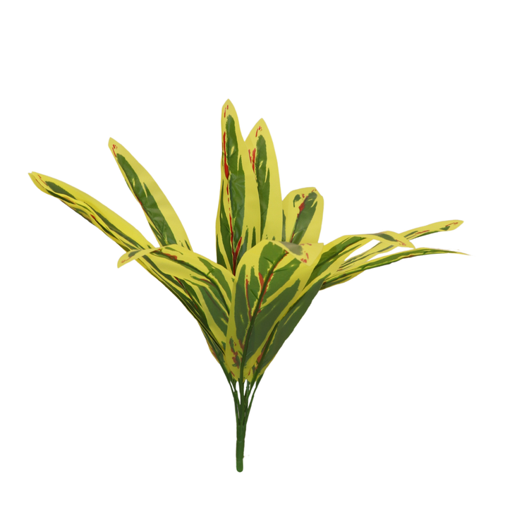 Green Leaf Plant