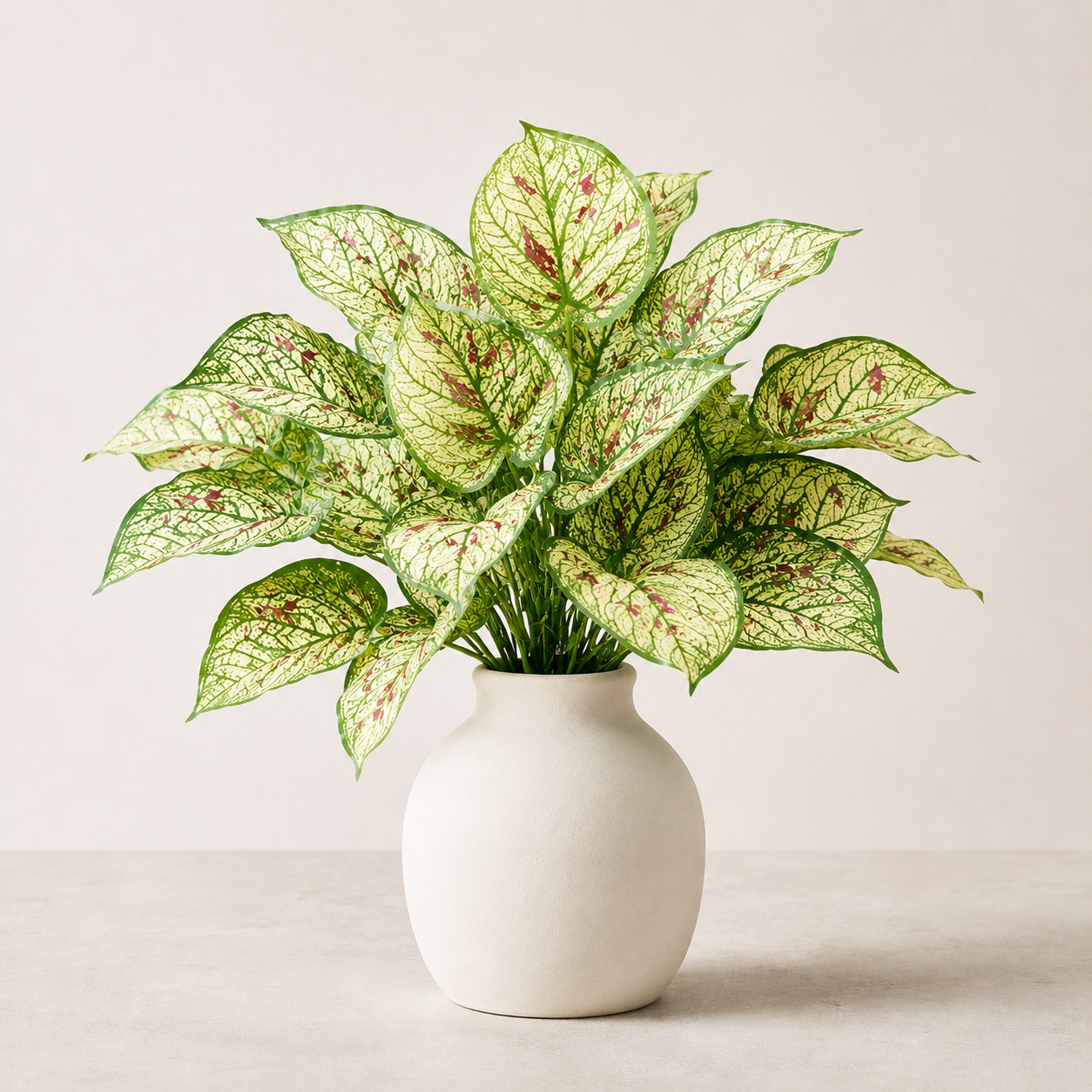 Dieffenbachia Green Bunch
