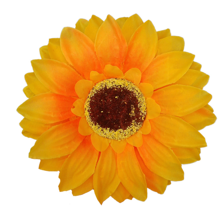 Sun Flower