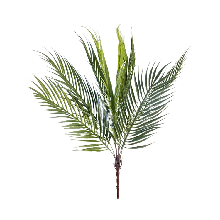 Areca Palm Green Bunch