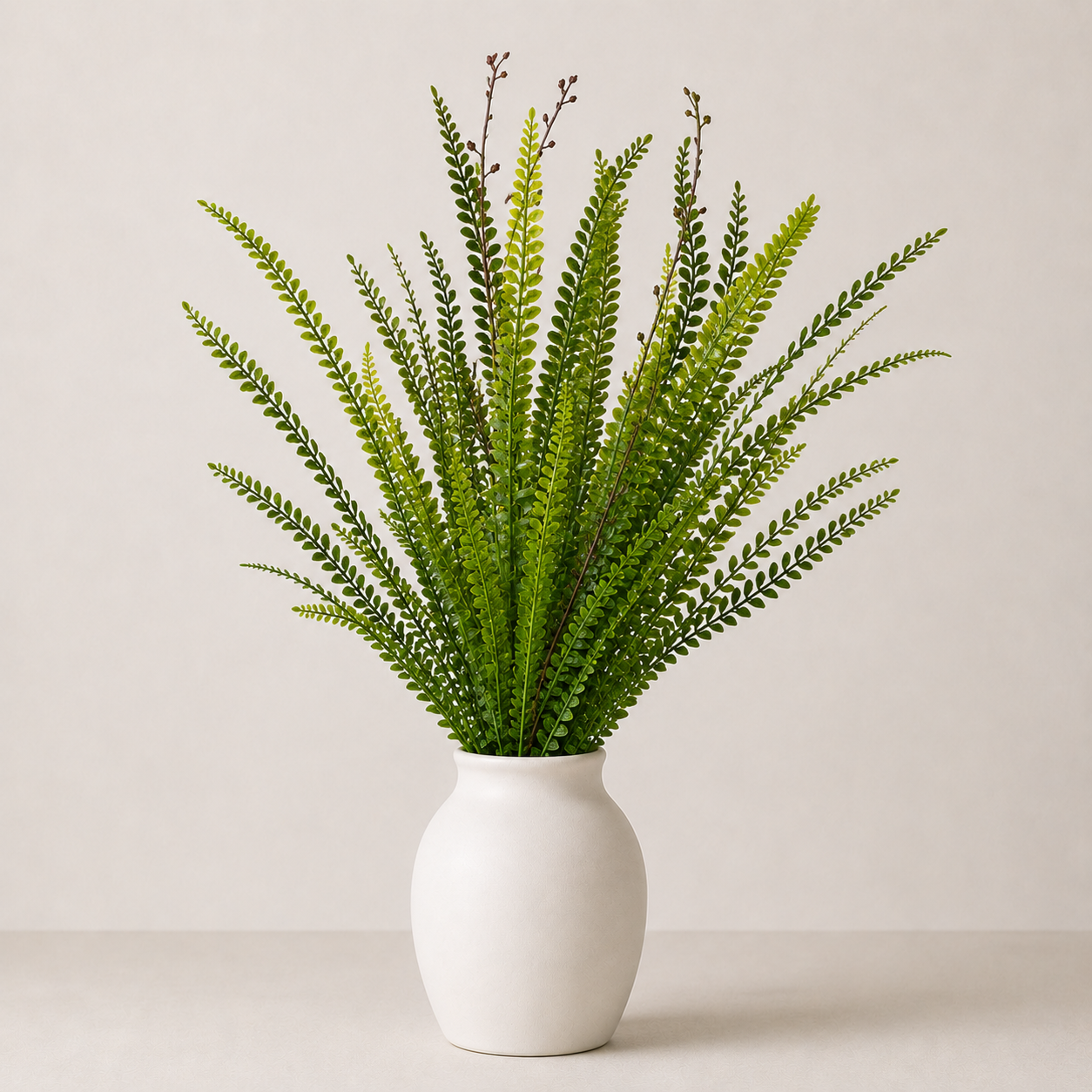 Ebony Spleenwort Leaf Bunch