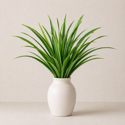 Bunch Leaf 24 Head
