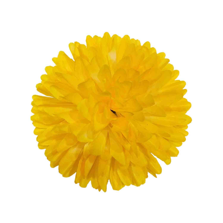 Big Dahlia