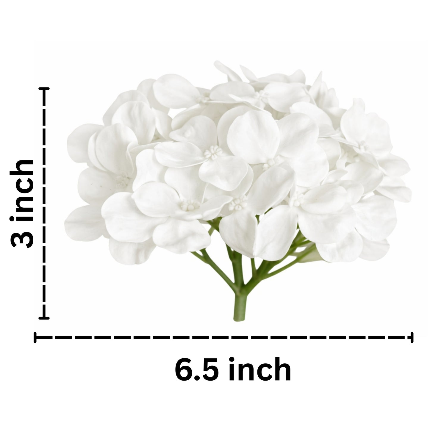 Off White Flr Hydrangea 27 Petals (Pack of 100)