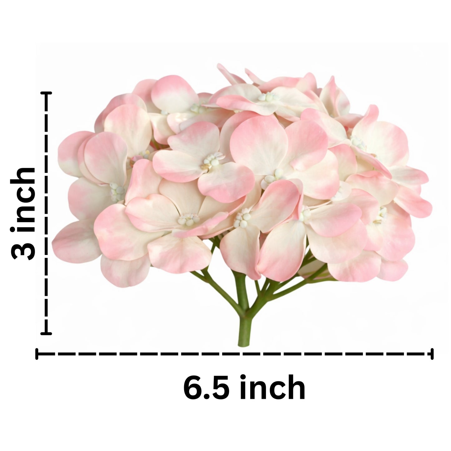 Light Pink Cream Flr Hydrangea 27 Petals (Pack of 100)