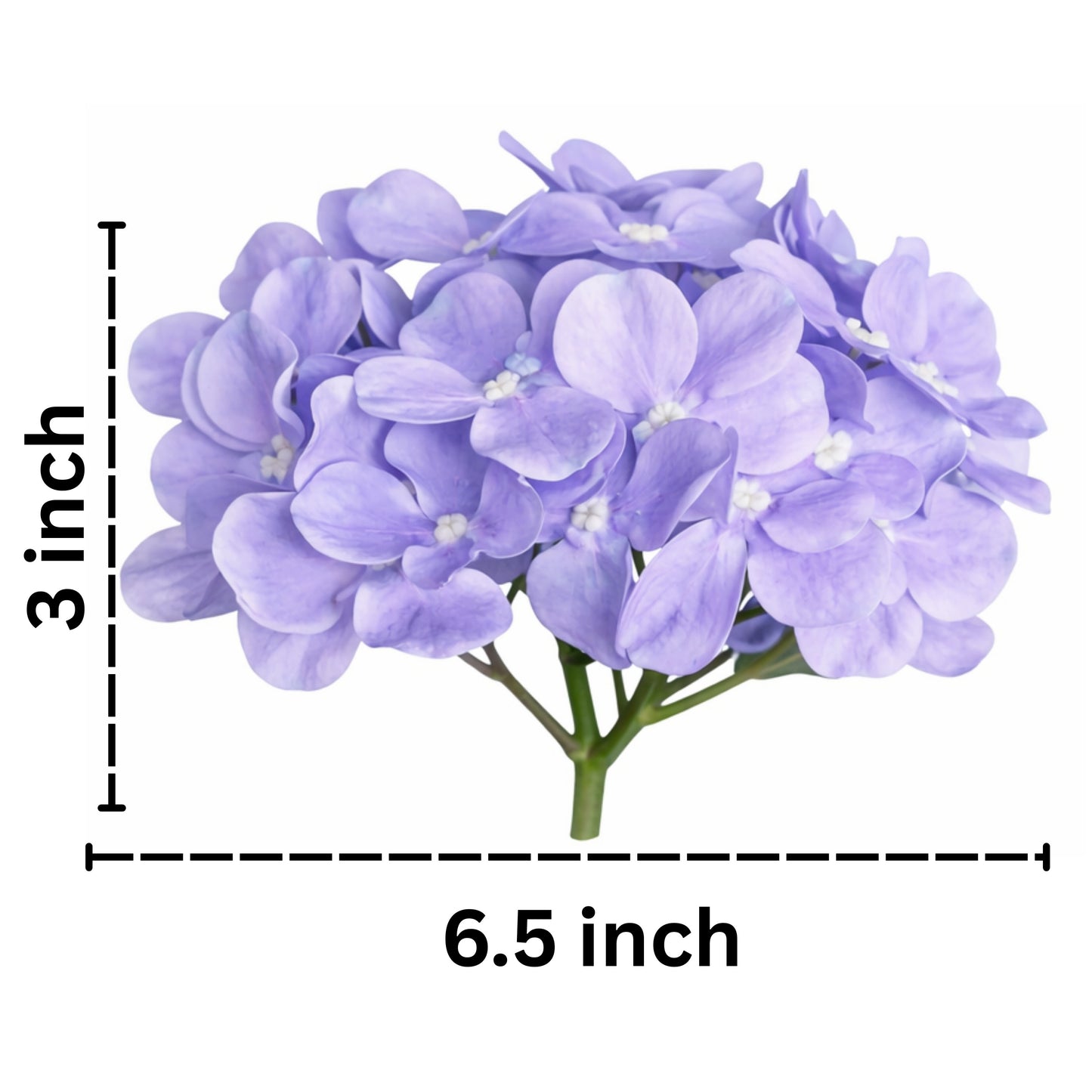 Lavender Flr Hydrangea 27 Petals (Pack of 100)