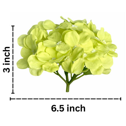 Green Flr Hydrangea 27 Petals (Pack of 100)