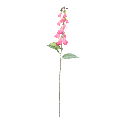 Lapageria Rosea 83Cm D/s Light Pink White (Pack of 10)