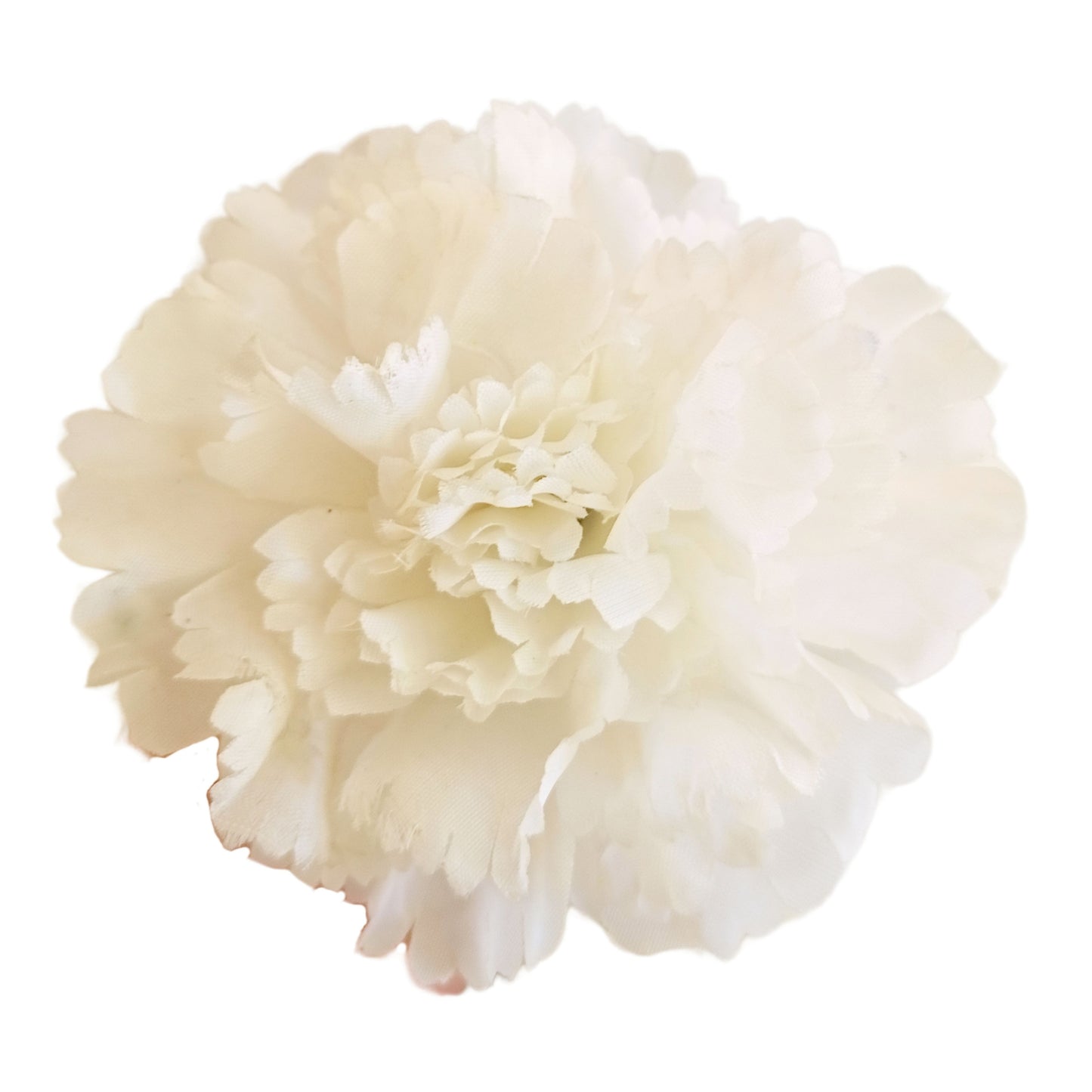 Off White Big Carnation (Pack of 200)