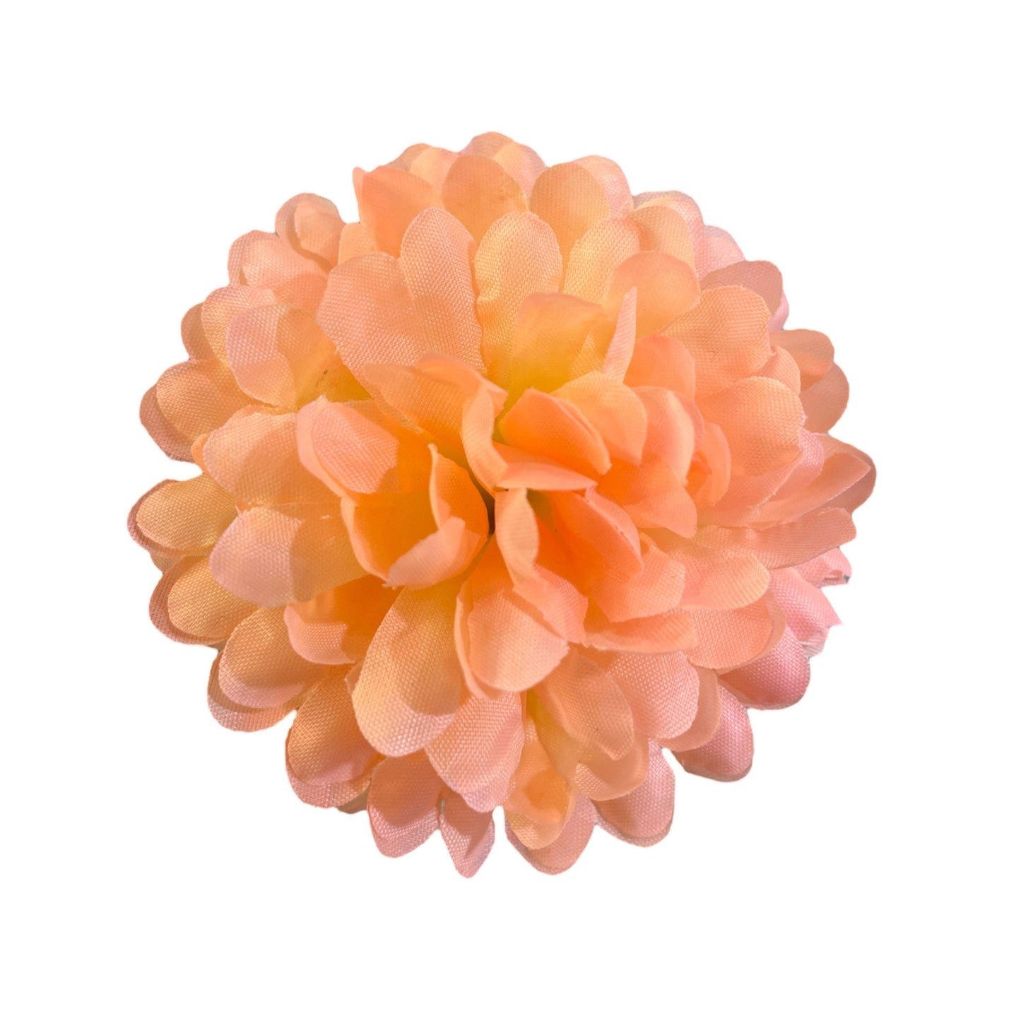 Peach Flr Chrysanthemum (Guldabri Pack of 200)