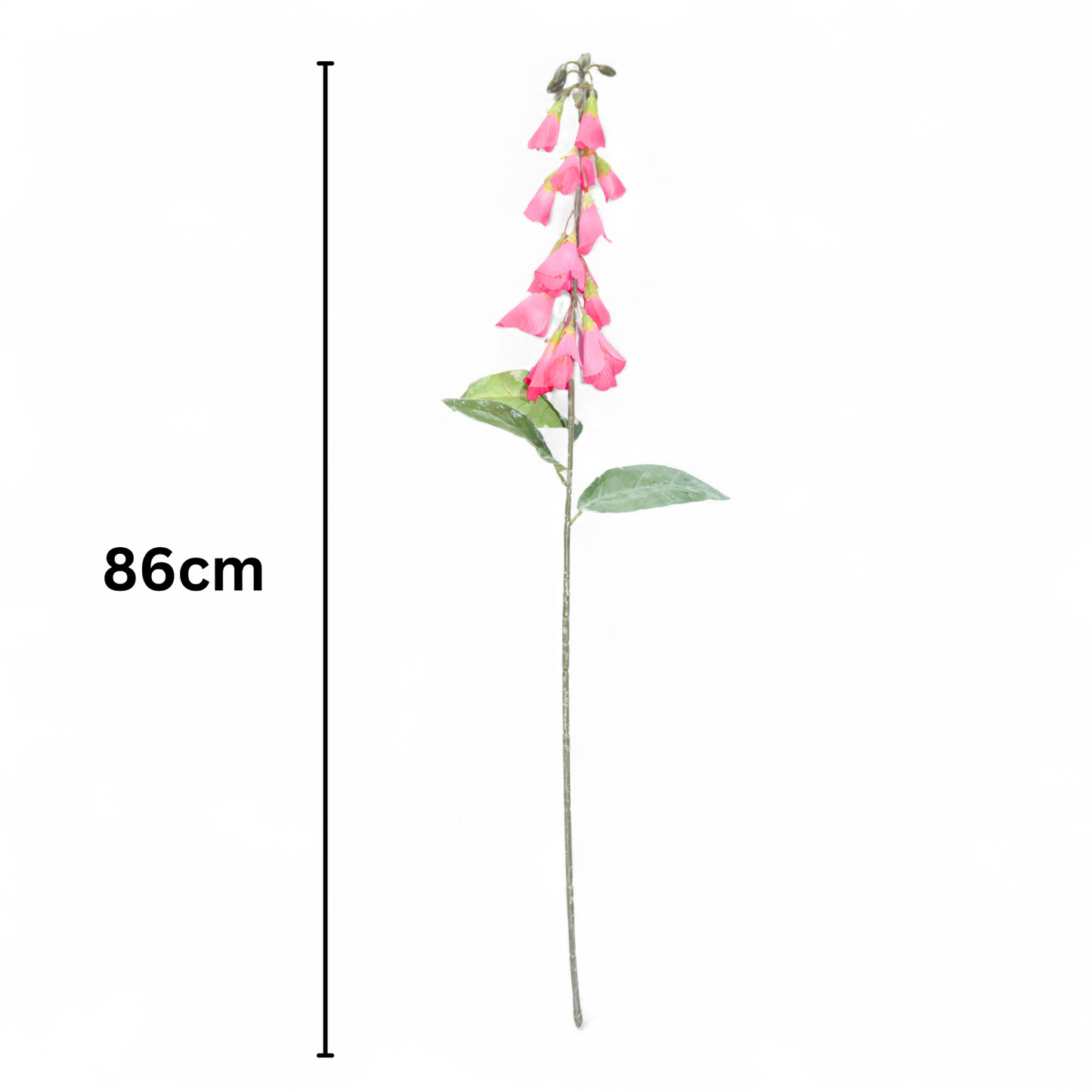 Lapageria Rosea 83Cm D/s Light Pink White (Pack of 10)