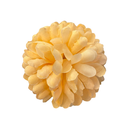 Peach Cream Flr Chrysanthemum (Guldabri Pack of 200)