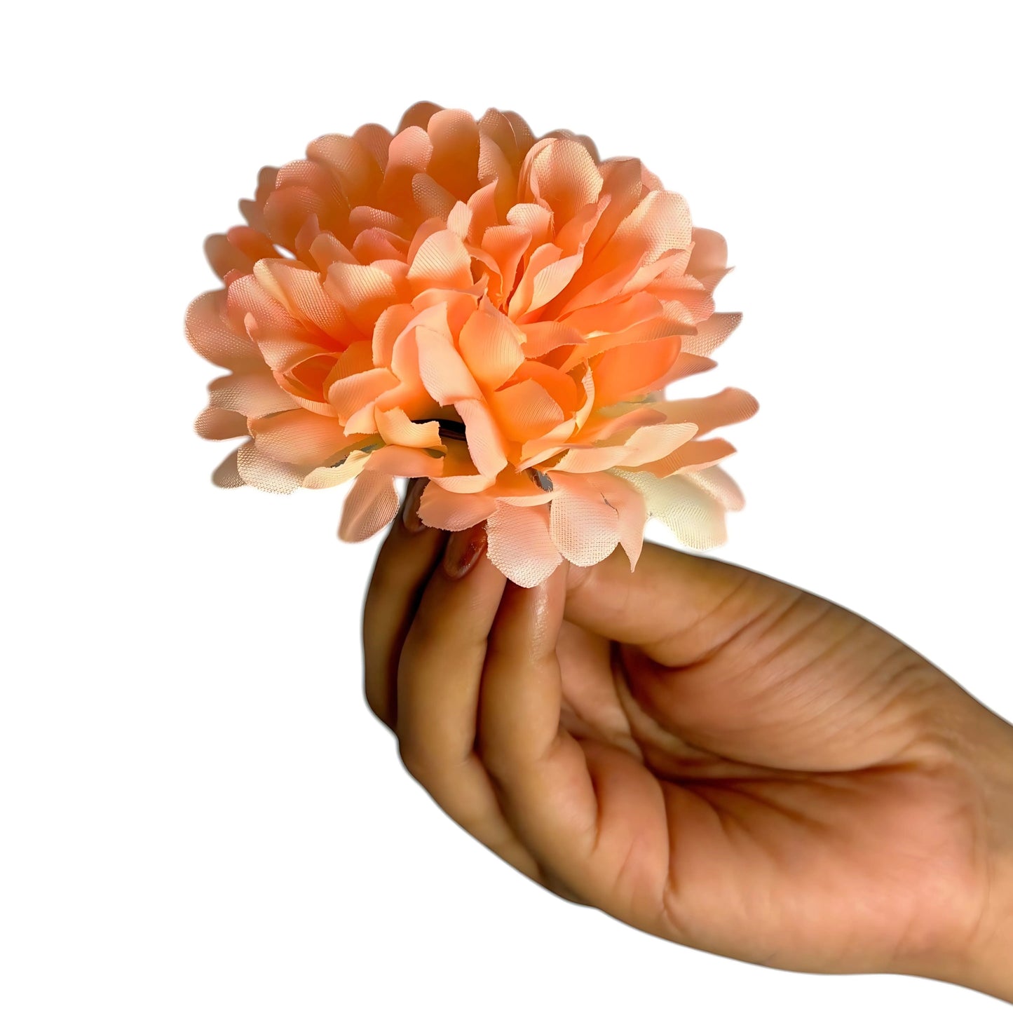 Peach Cream Flr Chrysanthemum (Guldabri Pack of 200)