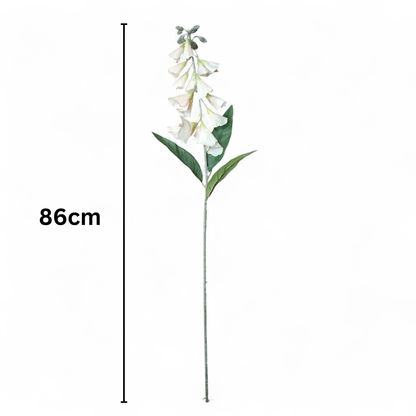 Lapageria Rosea 83Cm Peach (Pack of 10)