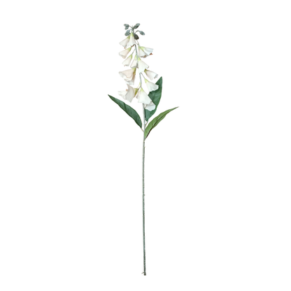 Lapageria Rosea 83Cm Peach (Pack of 10)
