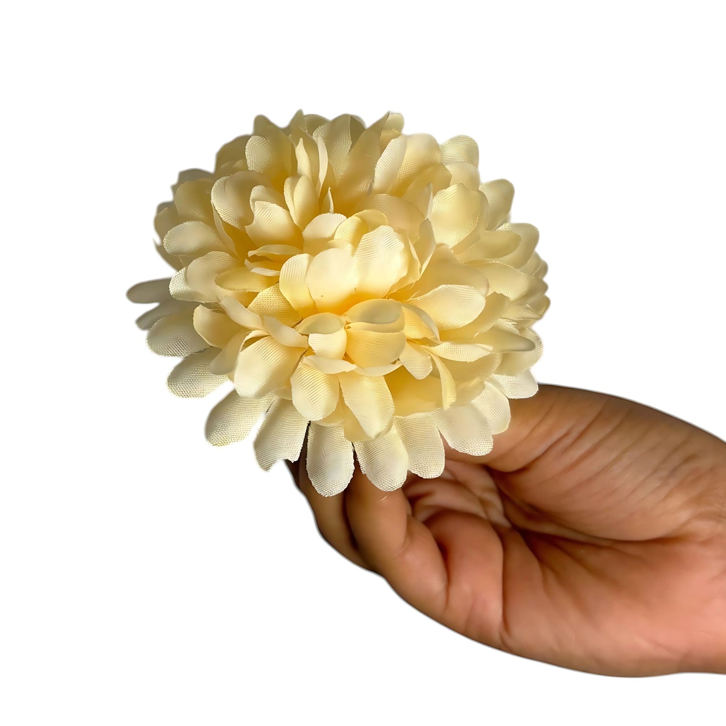Peach Yellow Flr Chrysanthemum (Guldabri Pack of 200)