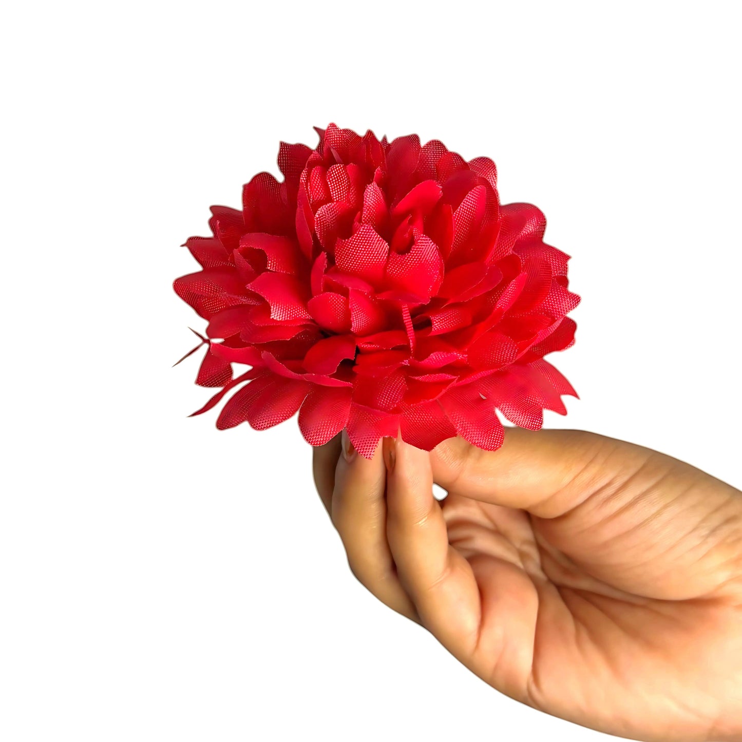 Red Flr Chrysanthemum (Guldabri Pack of 200)