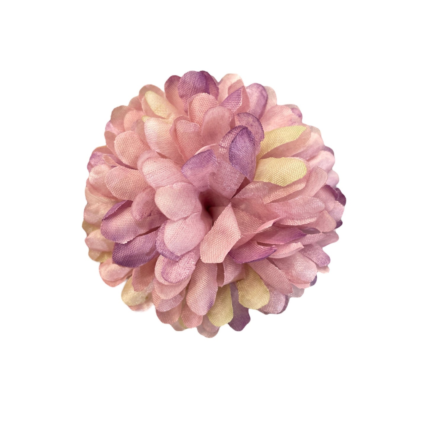 Rstic Purple Flr Chrysanthemum (Guldabri Pack of 200)