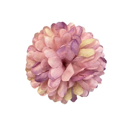 Rstic Purple Flr Chrysanthemum (Guldabri Pack of 200)
