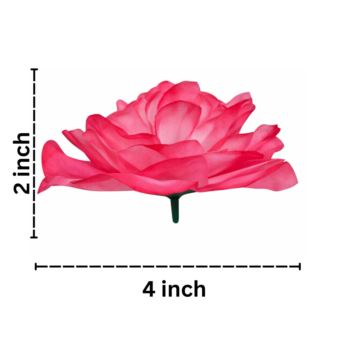 Pink flower with measurements on a white background