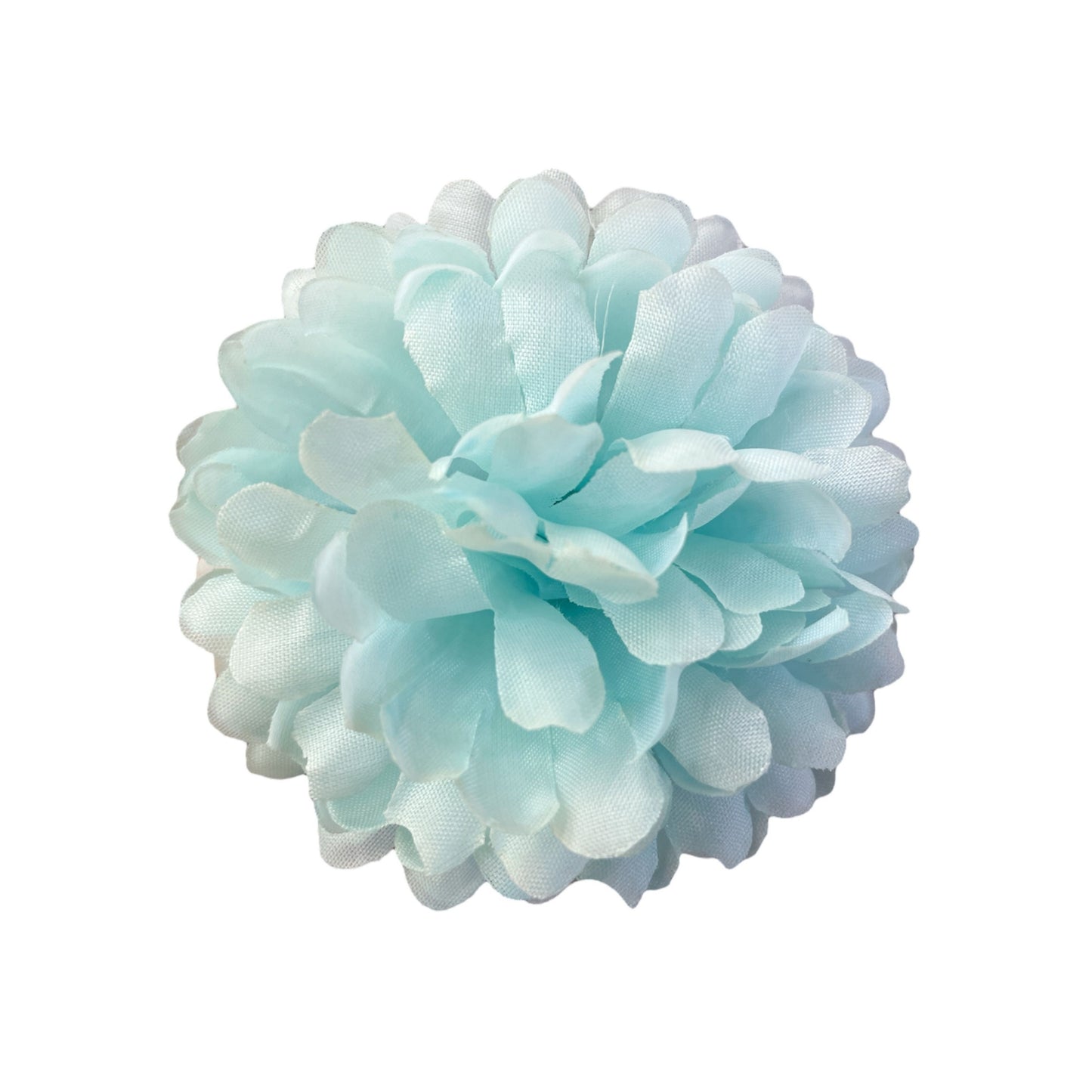 Sky Blue Flr Chrysanthemum (Guldabri Pack of 200)