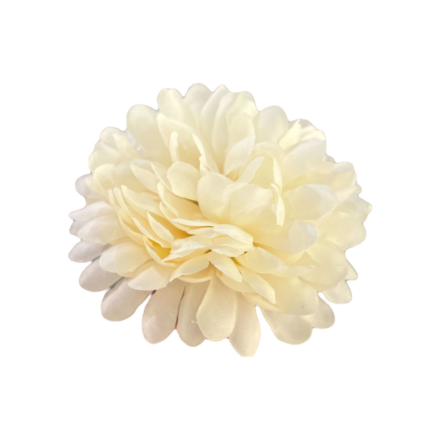 White Flr Chrysanthemum (Guldabri Pack of 200)