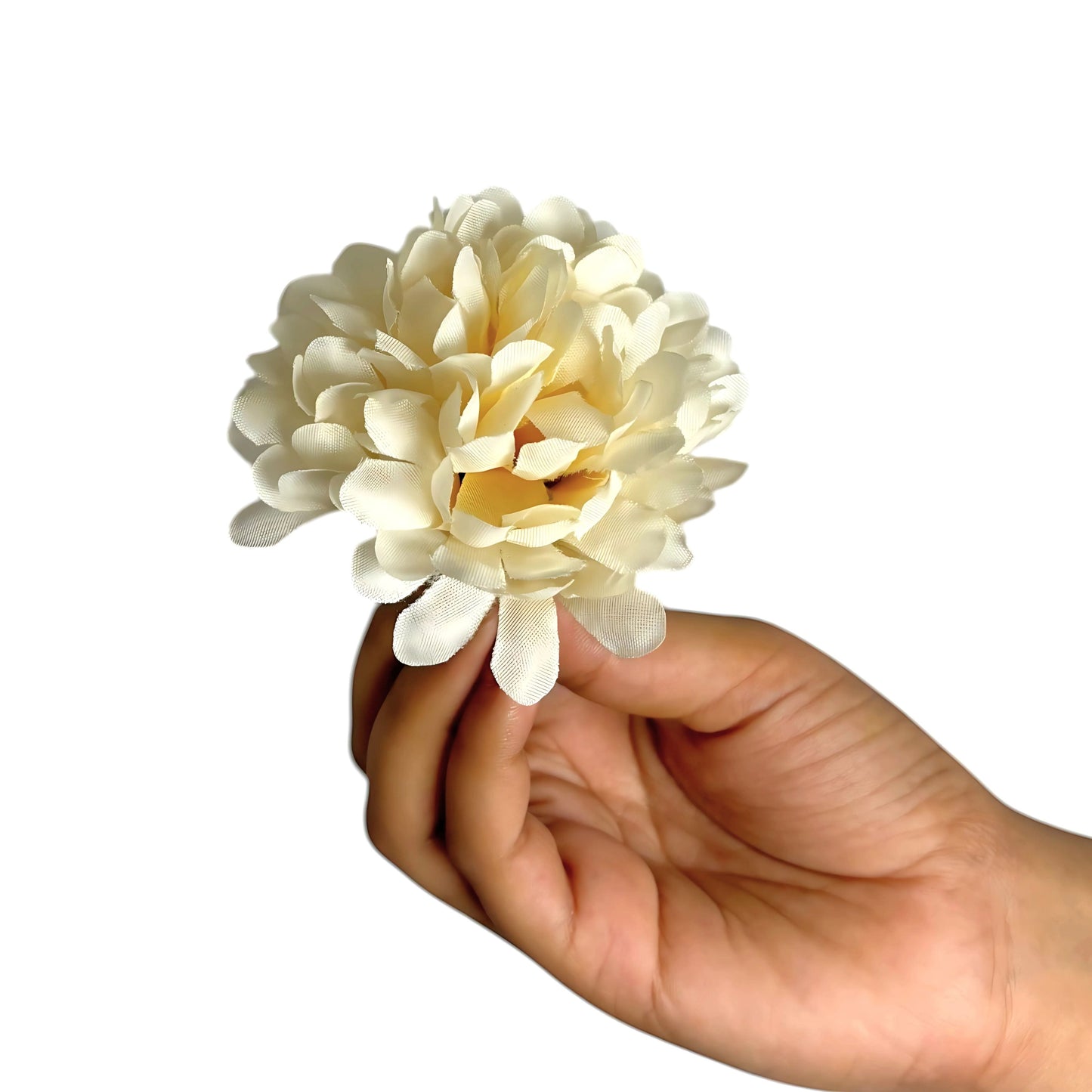 White Flr Chrysanthemum (Guldabri Pack of 200)