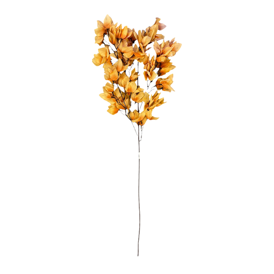 Magnolia Stick 23 Head 89cm Brown (Pack of 10)