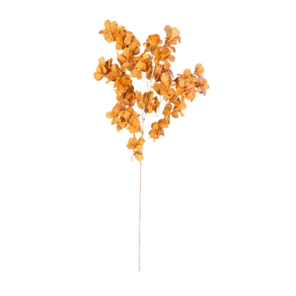 Magnolia Stick 23 Head (Pack of 10)
