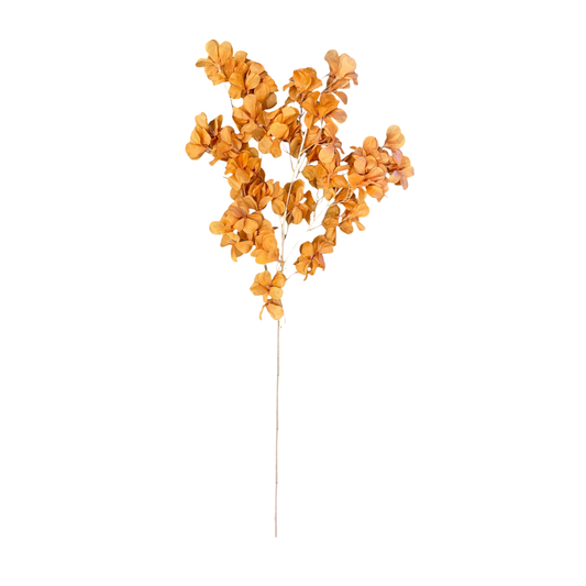 Magnolia Stick 23 Head (Pack of 10)