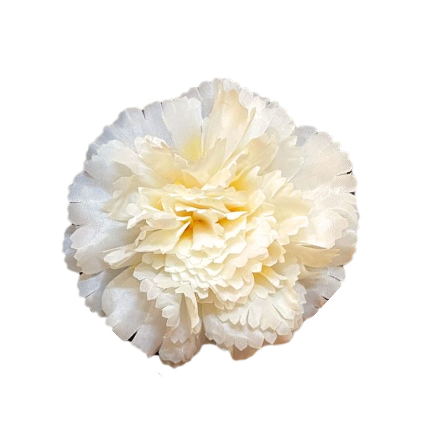Off White Orange Big Carnation (Pack of 200)