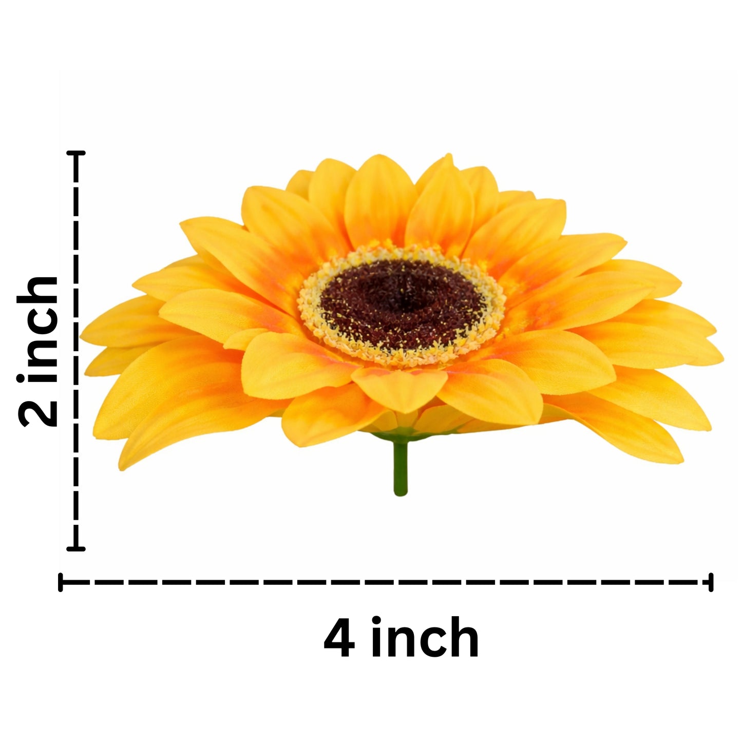 Large Sun Flower Yellow orange (Pack of 100)