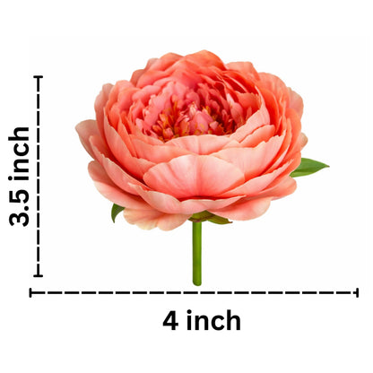 Peach-colored flower with measurement labels on a white background
