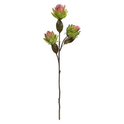 Protea Stick 3 Head 104cm Ligth Green (Pack of 10)